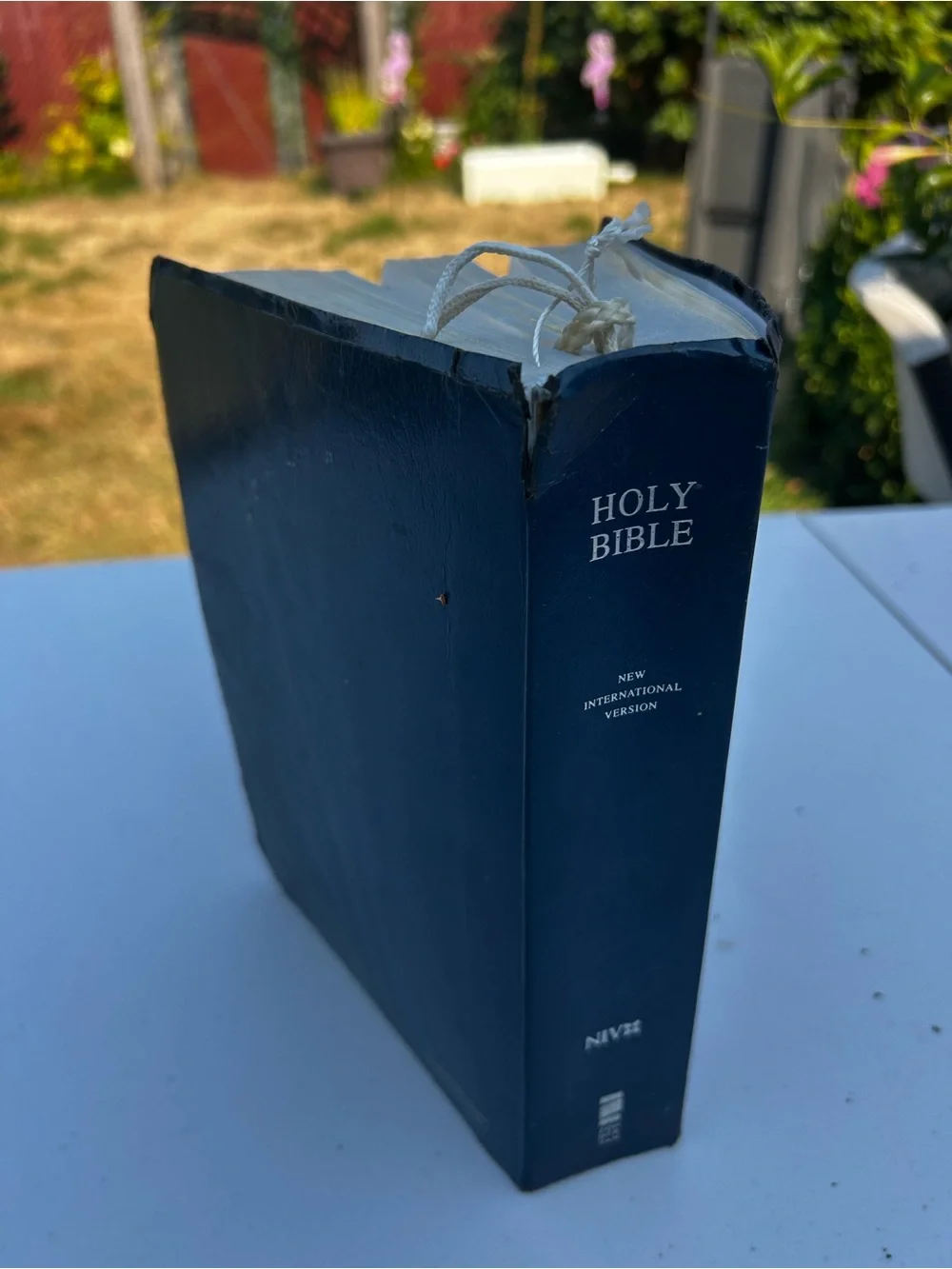Holy Bible New International Version - Navy Blue by NIV 1988
